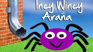 Incy Wincy Araña  canción infantil Nursery rhymes video [upl. by Maguire]