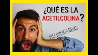 ¿Qué es la ACETILCOLINA [upl. by Mignon]