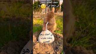 احذروا عورات الناس⛔ معلومات اقتباسات حكم [upl. by Geddes665]