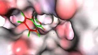 Zodiac molecular modeling [upl. by Llemaj]