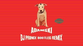 Adamski ft Seal  Killer DJ Prince Norway bootleg remix [upl. by Eitac285]