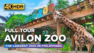 AVILON ZOO Full Tour  WHAT TO SEE Inside the Largest ZOO in the Philippines【4K HDR】 [upl. by Cohleen]