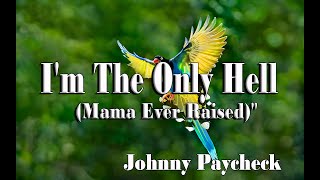 Im The Only Hell Mama Ever Raised  Johnny Paycheck [upl. by Anirac]