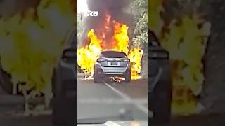 Kitsap Co deputy saves man and dog from burning car [upl. by Daphie418]