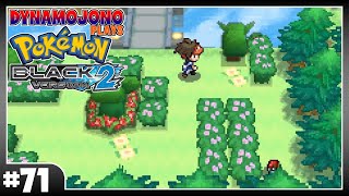 Wandering Around Striaton City  Pokémon Black 2 71 [upl. by Brentt]