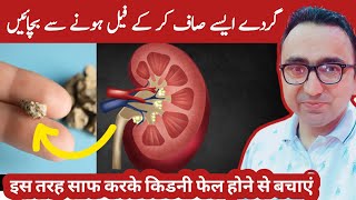 Clean Your Kidneys of Uric Acid and Oxalates 4 Natural Ways [upl. by Smallman143]