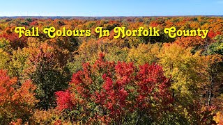 Fall Colours In Norfolk County [upl. by Roarke]