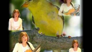 Yellow Bird song Chris Isaak cover 3 part harmony [upl. by Barncard]