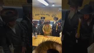 Toldos Aharon Rebbe Making Havdalah In Kerestir  Motzei Shabbos Chazon 5784 [upl. by Blynn954]