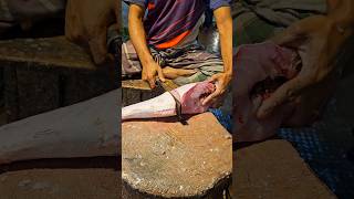 Amazing Hamour Fish Cutting Skills In Bangladesh Fish Market By Expert Cutter shorts [upl. by Eirak]