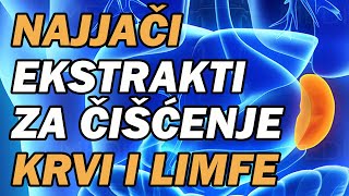 MOĆNI EKSTRAKTI ZA ČIŠĆENJE SLEZENE KRVI LIMFE Dr Mihajlović [upl. by Indihar]