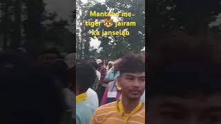 Tiger Jairam ko dekhne aaye mantand [upl. by Ainatnas]