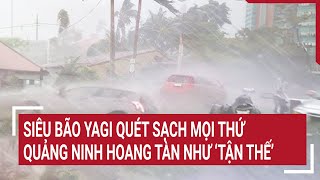 Siêu bão Yagi quét sạch mọi thứ Quảng Ninh hoang tàn như ‘tận thế’ [upl. by Yzzik]