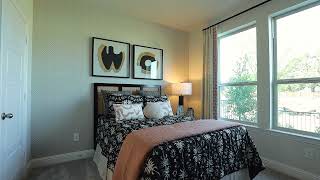 Timber Ridge Conroe Model  Impression Homes [upl. by Hceicjow]