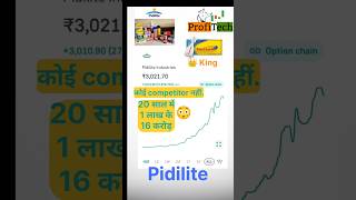 Pidilite stock analysis share market 1 lakh to 16 core [upl. by East]