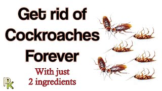 How to get rid of Cockroaches in your home with just 2 ingredients [upl. by Eesdnyl]