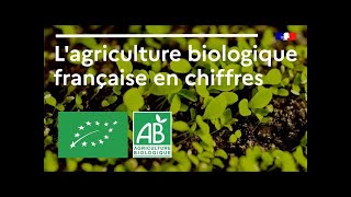 Lagriculture biologique française en chiffres [upl. by Laurene320]