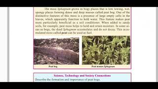 Kingdom Plantae Part2 Plantae plants botany angiosperm gymnosperm vascularplants biology [upl. by Tova]