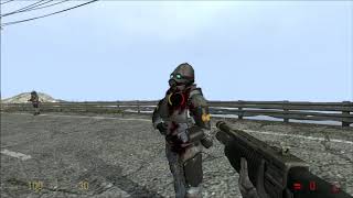 HalfLife 2  Combine Sniper Analysis [upl. by Alaik]