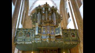 Dietrich Buxtehude Prelude and Fugue in F sharp minor BuxWV 146 Bernard Foccroulle [upl. by Eisse534]