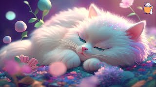 Music for Nervous Cats  Soothing Sleep Music Deep Relaxation Music  Sleepy Cat [upl. by Omari]