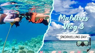 Maldives vlog 3 🇲🇻Maafushi Island Kaani palm hotel মালদ্বীপে fancy dinner amp snorkelling 🤿 [upl. by Inatirb]