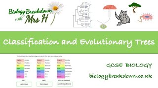 Classification and Evolutionary Tress [upl. by Blumenthal]