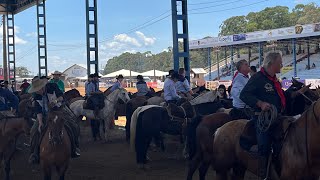 35 RODEIO DA INTERNACIONAL DA VACARIA RADIALISTA [upl. by Atalaya]