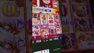 We’re here at Harrahs Cherokee Casino slots casino harrahs [upl. by Ecidnak]