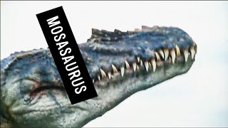 MOSASAURUS  Das Letzte Gigantische Reptil im Meer [upl. by Auhsuj]