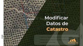 Modificar Datos de Catastro [upl. by Tilda223]