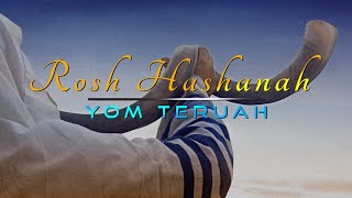 20241003 Rosh Hashanah [upl. by Nnyleimaj]