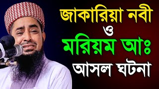 হযরত মরিয়ম আঃ ও হযরত জাকারিয়া নবী আসল ঘটনা💖eliasur rahman zihadi new waz 2022 [upl. by Neesay104]