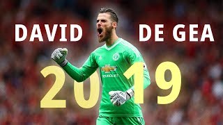 David de gea 2019 ● Crazy amp Super saves  1080P [upl. by Alihet790]