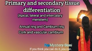 Primary and secondary tissue differentiation  Apical lateral and intercalary meristem [upl. by Paxton]