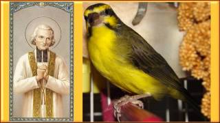 Loiseau de Paradis sur le canon de Pachelbel histoire racontée par St JeanMarie Vianney [upl. by Meli898]