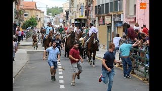 Encierro a caballo Corpus Vitigudino [upl. by Uranie798]