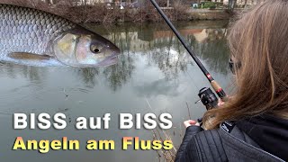 Angeln am Fluss  Biss auf Biss  das erste Mal Angeln 2023 [upl. by Eilraep]