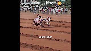 बब्या vs पिस्टन 💥 Win  piston amp Sonya 2211 👑 bailgadasharyat nadekachbailgada babya  piston 💥 [upl. by Irrac]