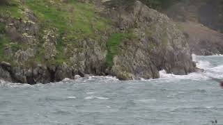 SE blow Nov 16 2024 Aleck Bay PNW [upl. by Drucie336]