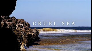 Walking With Reviewers Episode 3 Cruel Sea [upl. by Pavlov]