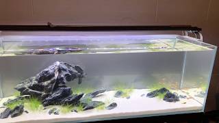 UNS 90L Aquascape [upl. by Wakerly]