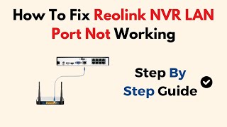 How To Fix Reolink NVR LAN Port Not Working [upl. by Jard]