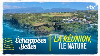 La Réunion île nature  Échappées belles [upl. by Zachary]