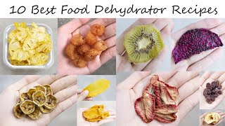 10 Best Food Dehydrator Recipes You Will Want to Try [upl. by Blancha]