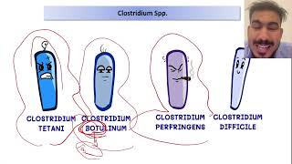 S4 L2 Some Examples of Nosocomial Infections [upl. by Chernow]