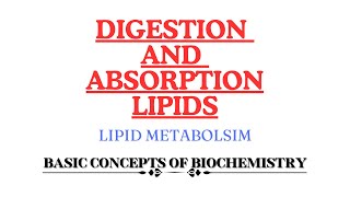 Digestion and Absorption of Lipids  Monoacyl glycerol pathway  Bergstrom theory [upl. by Bouton529]