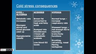 Hypothermia in the neonate [upl. by Ycal]