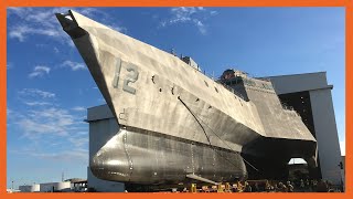 Why Does the US Navy Hate its Littoral Combat Ships [upl. by Mcneely]