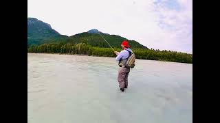 Bc salmon fishing fishing speycasting salmonfish fyp [upl. by Kram149]